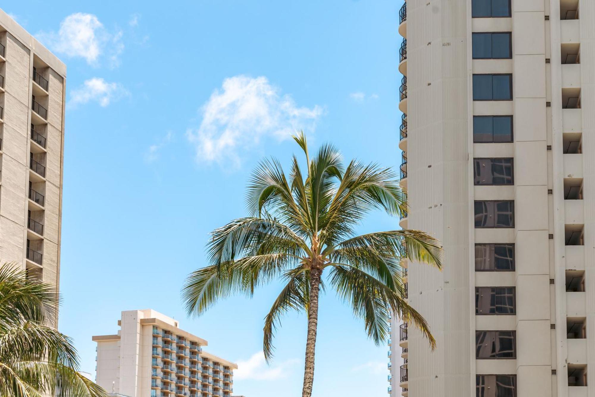 Waikiki Banyan 1Br With Great Ocean Views, Steps To Beach & Parking! Honolulu Dış mekan fotoğraf